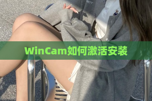 WinCam如何激活安装