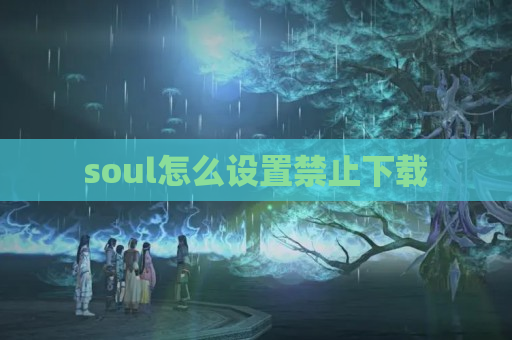 soul怎么设置禁止下载