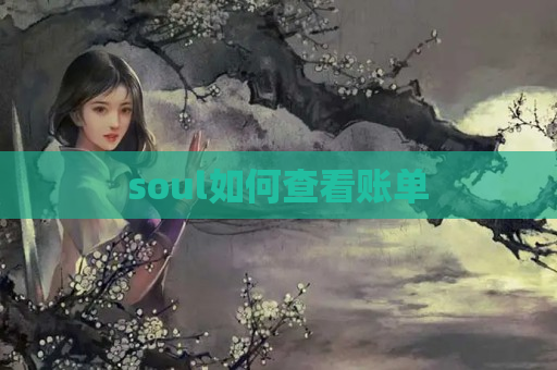 soul如何查看账单