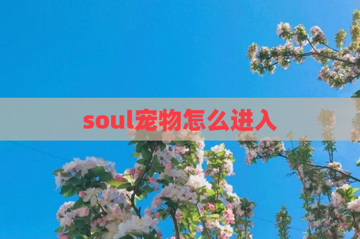 soul宠物怎么进入