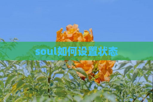 soul如何设置状态