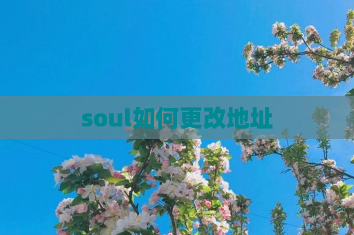 soul如何更改地址