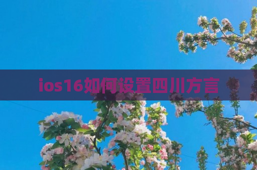 ios16如何设置四川方言