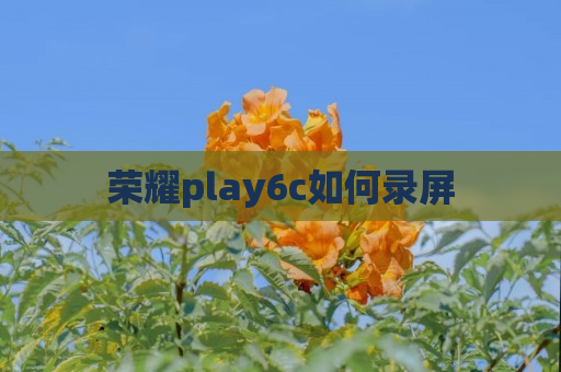 荣耀play6c如何录屏