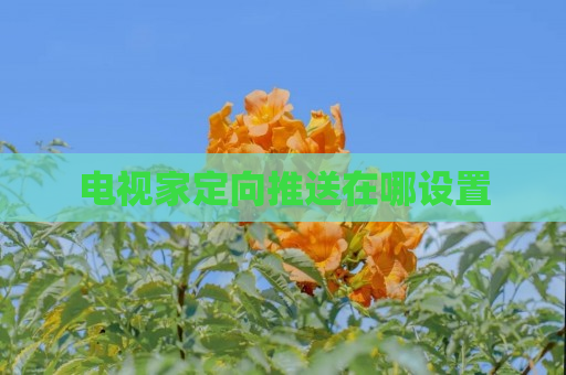 电视家定向推送在哪设置