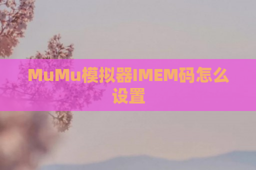 MuMu模拟器IMEM码怎么设置