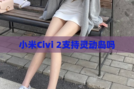 小米Civi 2支持灵动岛吗