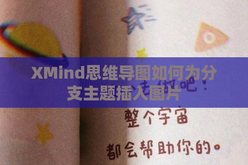 XMind思维导图如何为分支主题插入图片