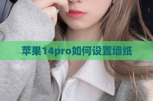 苹果14pro如何设置墙纸