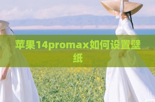 苹果14promax如何设置壁纸