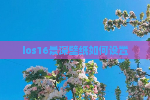 ios16景深壁纸如何设置