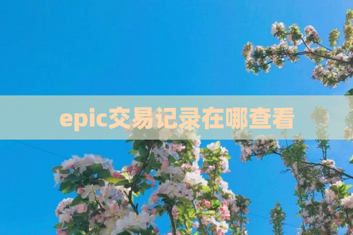 epic交易记录在哪查看