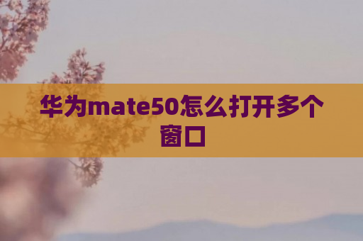 华为mate50怎么打开多个窗口