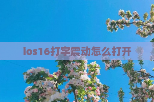 ios16打字震动怎么打开