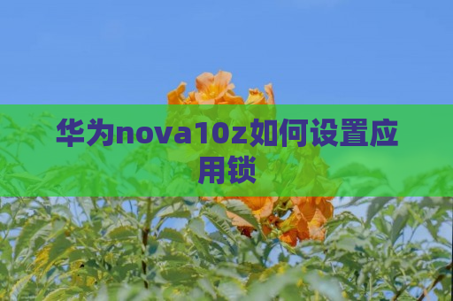 华为nova10z如何设置应用锁