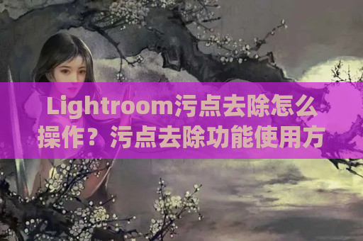 Lightroom污点去除怎么操作？污点去除功能使用方法介绍