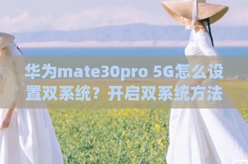 华为mate30pro 5G怎么设置双系统？开启双系统方法介绍