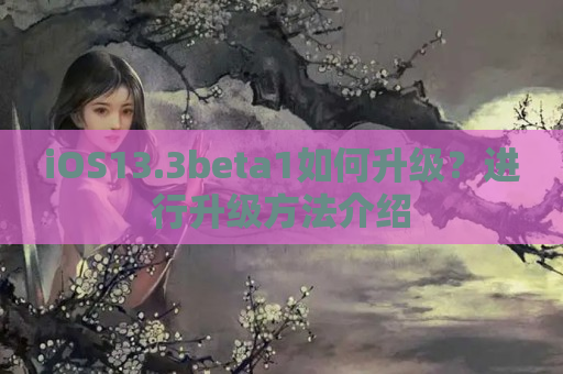 iOS13.3beta1如何升级？进行升级方法介绍