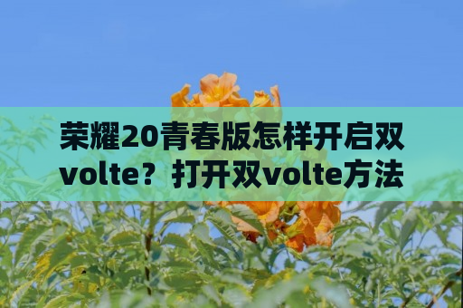 荣耀20青春版怎样开启双volte？打开双volte方法一览