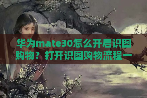 华为mate30怎么开启识图购物？打开识图购物流程一览