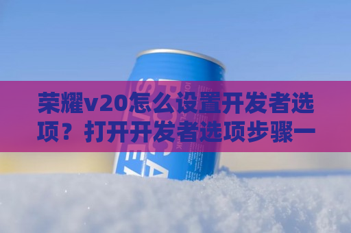 荣耀v20怎么设置开发者选项？打开开发者选项步骤一览