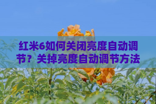 红米6如何关闭亮度自动调节？关掉亮度自动调节方法一览