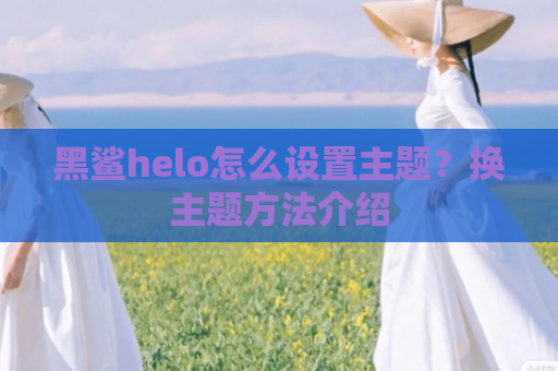 黑鲨helo怎么设置主题？换主题方法介绍