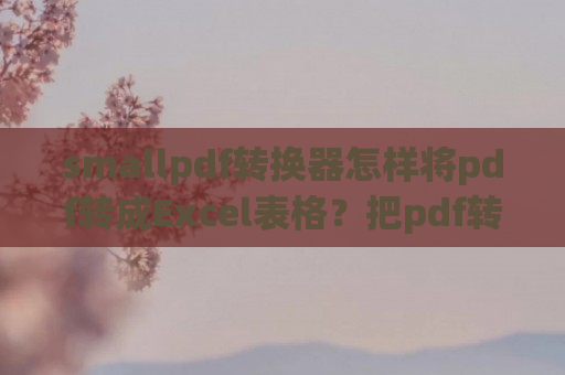 smallpdf转换器怎样将pdf转成Excel表格？把pdf转成Excel表格教程详解