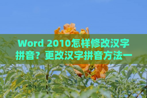 Word 2010怎样修改汉字拼音？更改汉字拼音方法一览