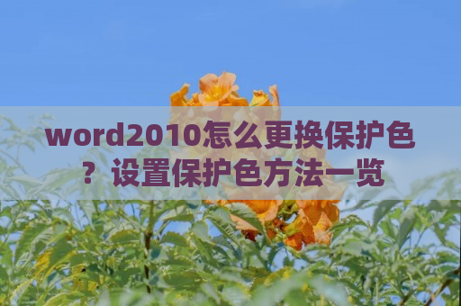 word2010怎么更换保护色？设置保护色方法一览