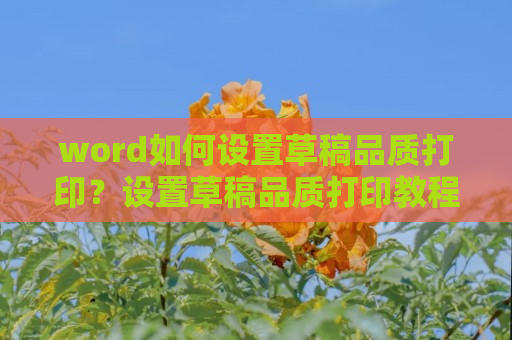 word如何设置草稿品质打印？设置草稿品质打印教程分享