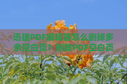 迅捷PDF编辑器怎么删掉多余空白页？删除PDF空白页方法介绍