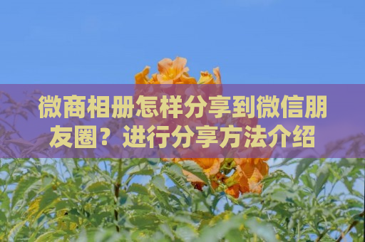 微商相册怎样分享到微信朋友圈？进行分享方法介绍