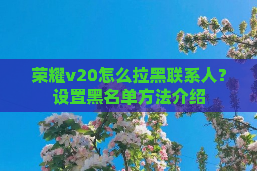 荣耀v20怎么拉黑联系人？设置黑名单方法介绍