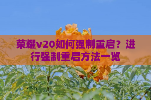 荣耀v20如何强制重启？进行强制重启方法一览