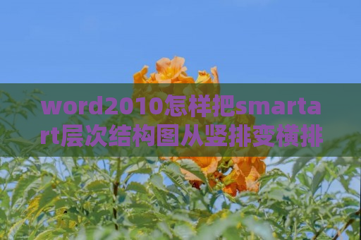 word2010怎样把smartart层次结构图从竖排变横排？将smartart层次结构图从竖排变横排方法介绍