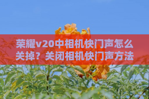 荣耀v20中相机快门声怎么关掉？关闭相机快门声方法一览