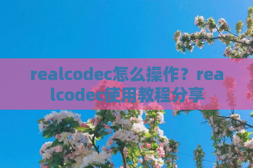 realcodec怎么操作？realcodec使用教程分享