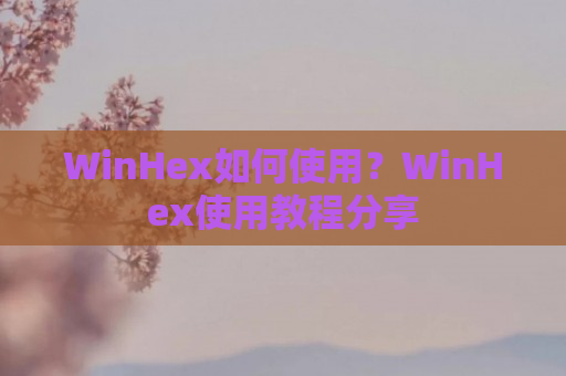 WinHex如何使用？WinHex使用教程分享