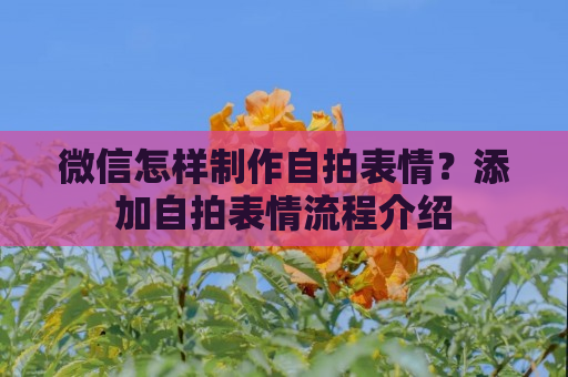 微信怎样制作自拍表情？添加自拍表情流程介绍