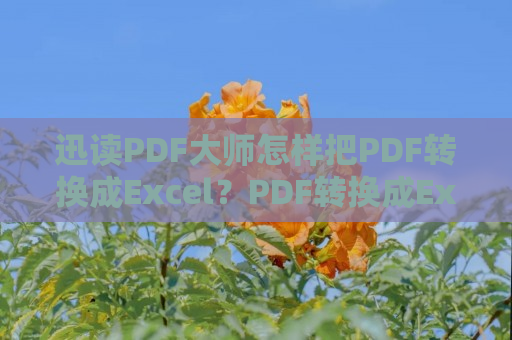 迅读PDF大师怎样把PDF转换成Excel？PDF转换成Excel教程分享