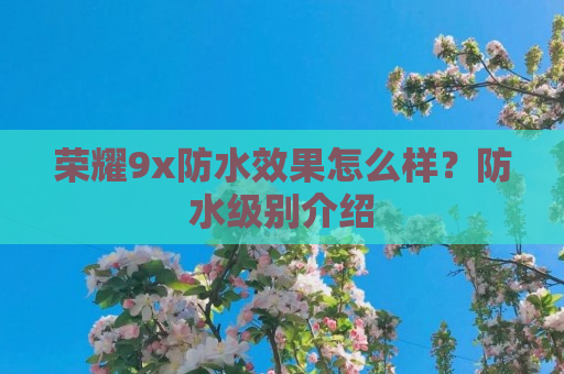 荣耀9x防水效果怎么样？防水级别介绍