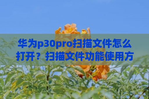 华为p30pro扫描文件怎么打开？扫描文件功能使用方法介绍