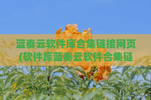 蓝奏云软件库合集链接网页(软件库蓝奏云软件合集链接)