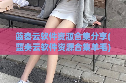 蓝奏云软件资源合集分享(蓝奏云软件资源合集羊毛)