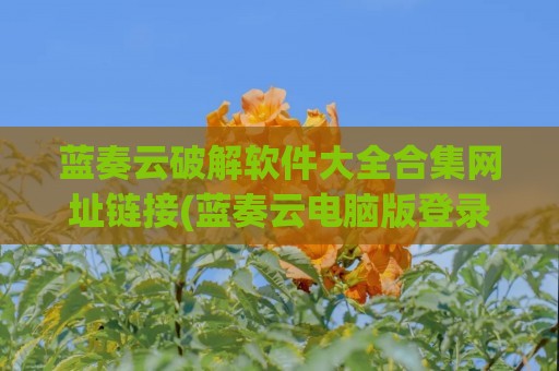 蓝奏云破解软件大全合集网址链接(蓝奏云电脑版登录入口)