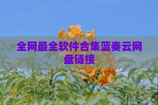 全网最全软件合集蓝奏云网盘链接