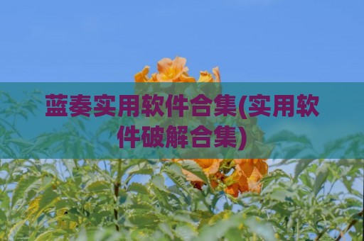 蓝奏实用软件合集(实用软件破解合集)