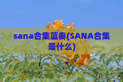 sana合集蓝奏(SANA合集是什么)