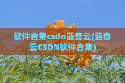 软件合集csdn蓝奏云(蓝奏云CSDN软件合集)